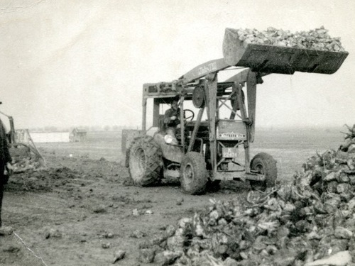 K-22474, Fordson tractor met Muir Hill shovel opzet van Gebr. Pladdet uit Biervliet, bij de bietencampagne in de buurt, ca. 1950.<br />bron: collectie Tom de Meijer, via HW.