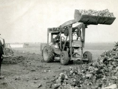 K-22474, Fordson tractor met Muir Hill shovel opzet van Gebr. Pladdet uit Biervliet, bij de bietencampagne in de buurt, ca. 1950.
<br />bron: collectie Tom de Meijer, via HW.